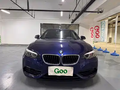 BMW 2 Series (Import) 2018