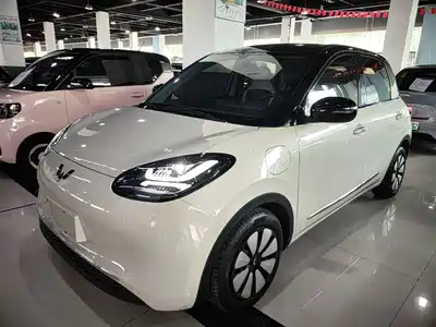 Wuling Motors Bingo 2024