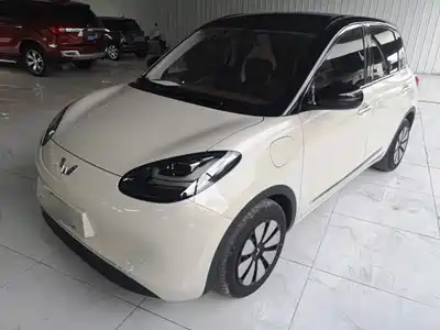 Wuling Motors Bingo 2024