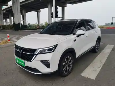 Wuling Motors Xingchen 2023