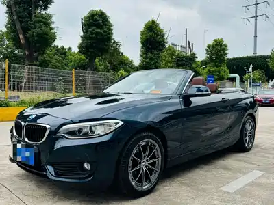 BMW 2 Series (Import) 2017