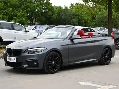 BMW 2 Series (Import) 2019