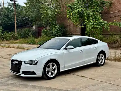 Audi A5 (Import) 2013