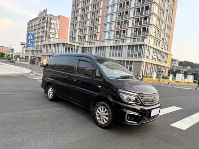 Dongfeng Fengxing Lingzhi 2018