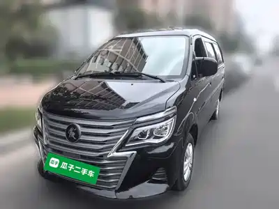 Dongfeng Fengxing Lingzhi 2024