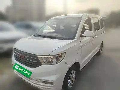 Wuling Motors Hongguang V 2019