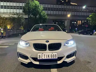 BMW 2 Series (Import) 2019