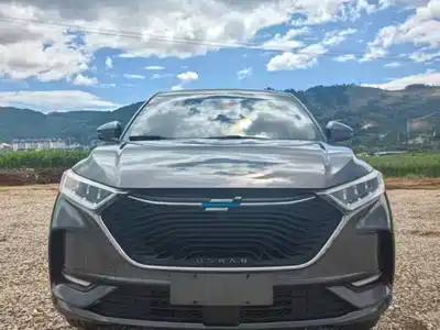 Changan Oshan X7 2020
