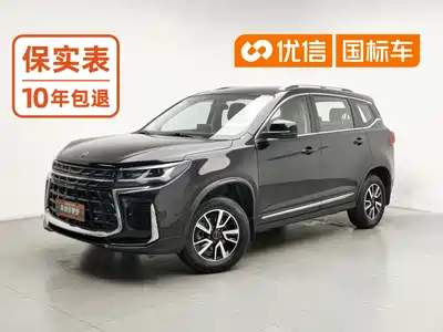 Dongfeng Fengxing T5 2023