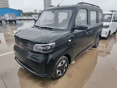 Wuling Motors Zhiguang NEV 2026
