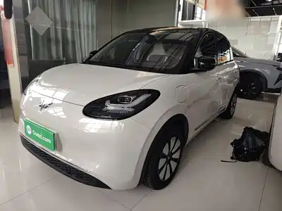 Wuling Motors Bingo 2024