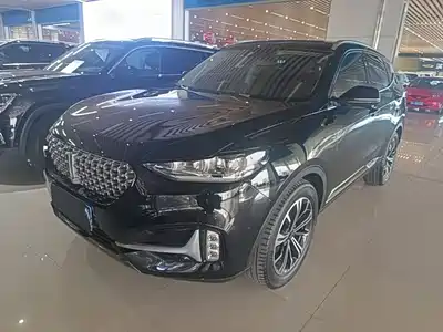 WEY VV6 2020