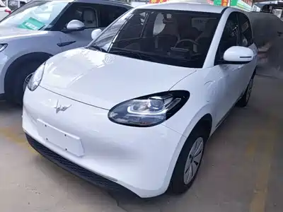 Wuling Motors Bingo 2024