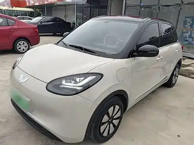Wuling Motors Bingo 2024
