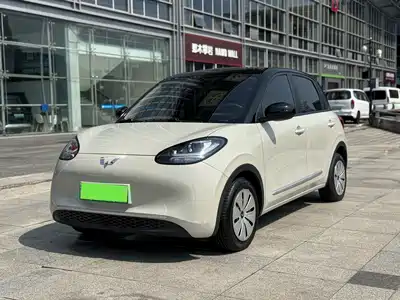 Wuling Motors Bingo 2024
