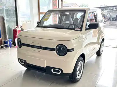 Geely Galaxy Panda 2026