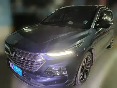 Wuling Motors Victory 2021