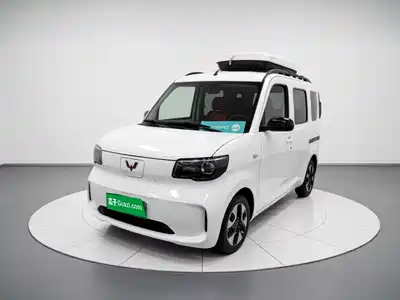 Wuling Motors Zhiguang NEV 2025