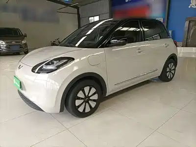 Wuling Motors Bingo 2024