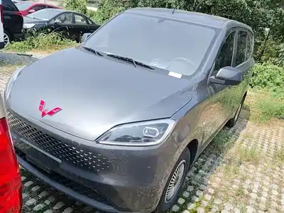 Wuling Motors Hongguang New Energy 2025