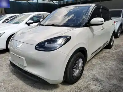 Wuling Motors Bingo 2023