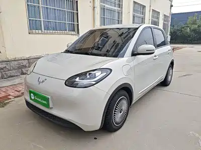 Wuling Motors Bingo 2024
