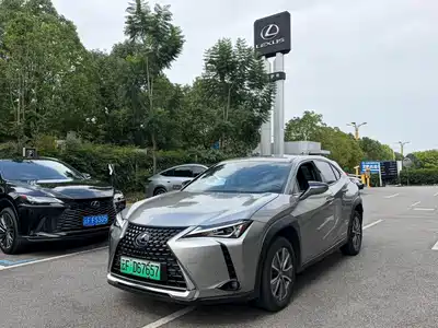 Lexus UX300e 2022