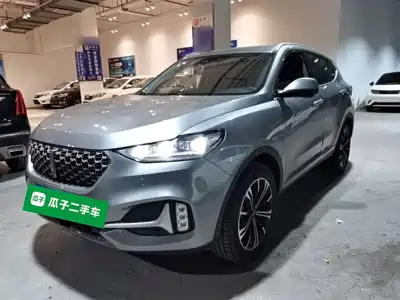WEY VV6 2020