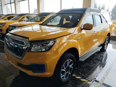 Dongfeng Rich 6 New Energy 2021