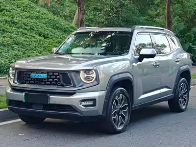 Haval Dargo 2nd Gen New Energy 2024