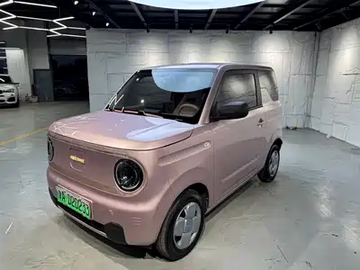 Geely Galaxy Panda 2024