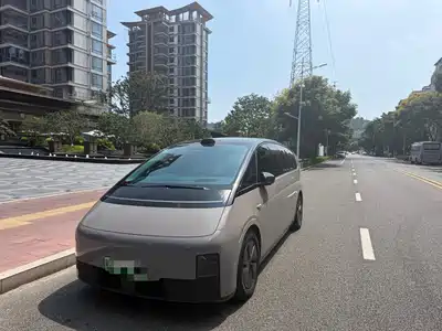 Li Auto MEGA 2025