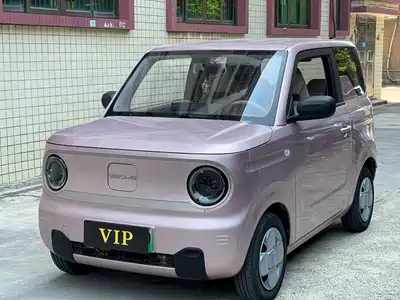 Geely Galaxy Panda 2023
