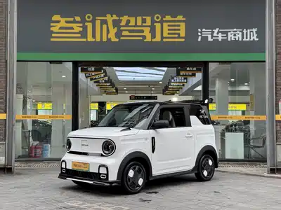 Geely Galaxy Panda 2025