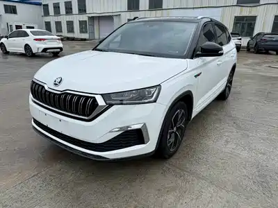 Skoda Kamiq 2024