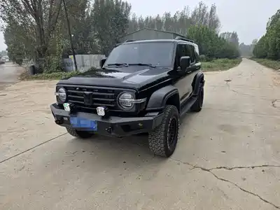 Tank 300 2024