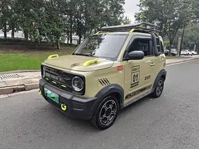 Geely Galaxy Panda 2024