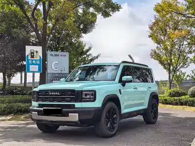 Haval Meng Long NEV 2025
