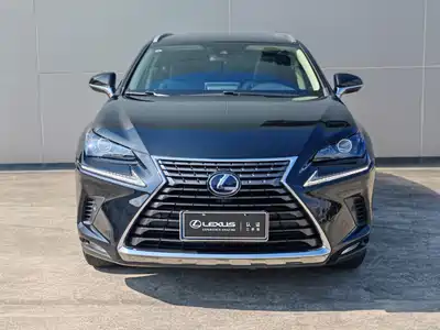 Lexus NX 2019
