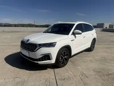 Skoda Kamiq 2021