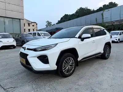Toyota Wildlander 2024