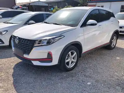 Dongfeng Fengguang Fengon 500 2021