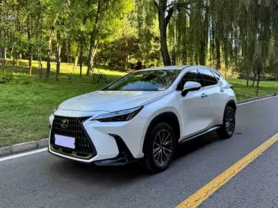 Lexus NX 2024
