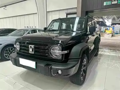 Tank 300 New Energy 2025