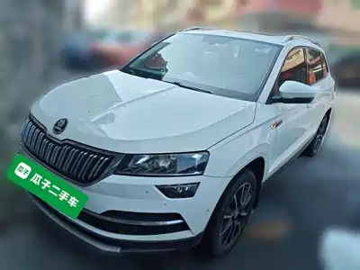 Skoda Karoq 2019