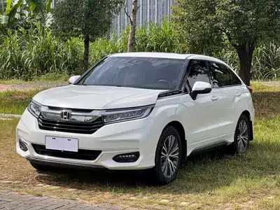 Honda Avancier 2020