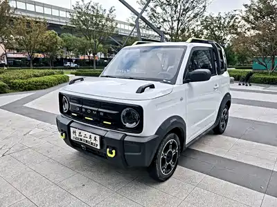 Geely Galaxy Panda 2024