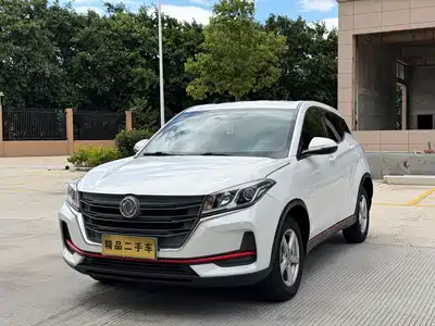 Dongfeng Fengguang Fengon 500 2021