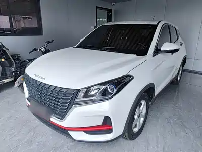 Dongfeng Fengguang Fengon 500 2023