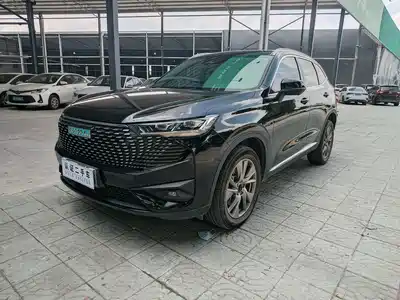 Haval H6 New Energy 2023